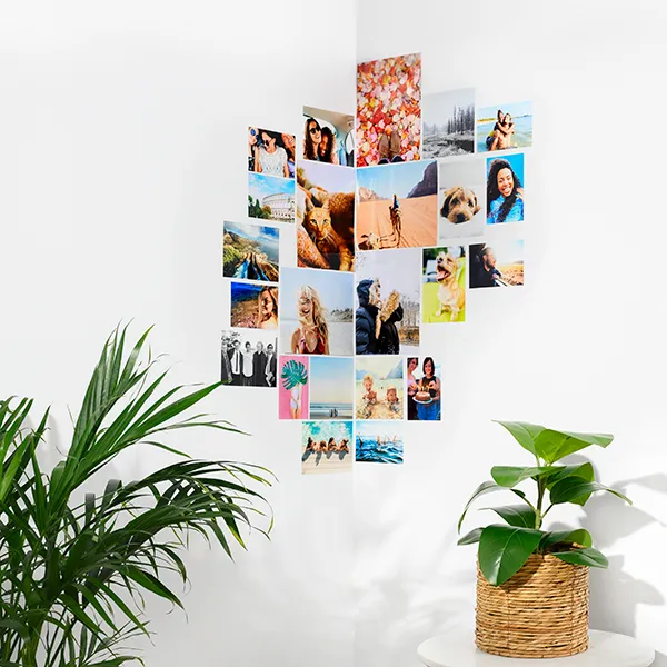 Photo Corner gallery